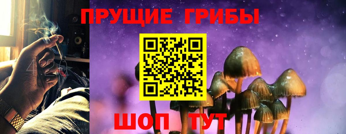Галлюциногенные грибы мухоморы Красногорск